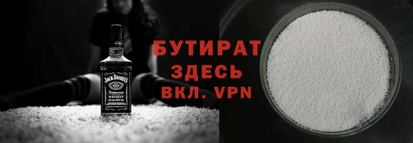 хмурый Аркадак