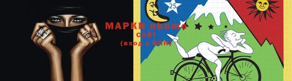хмурый Аркадак