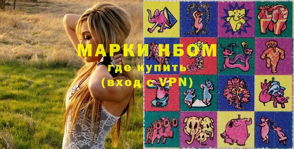 хмурый Аркадак