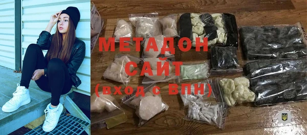 хмурый Аркадак