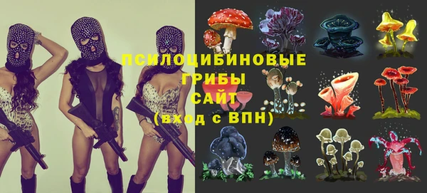 гидропоника Баксан