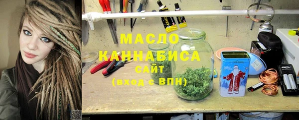 хмурый Аркадак
