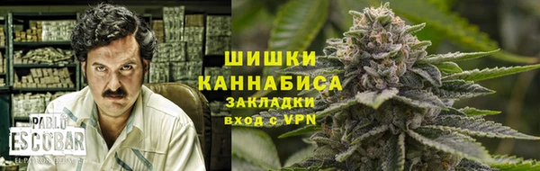 стаф Ленинск-Кузнецкий