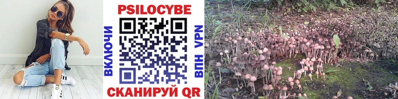 даркнет сайт  мега сайт  Псилоцибиновые грибы MAGIC MUSHROOMS  Гаврилов-Ям 